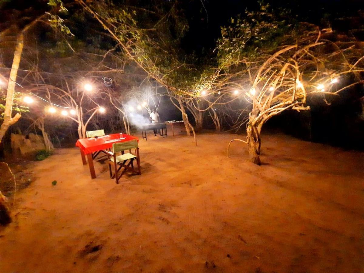 Yala Hotel Lion -Air Conditioned High Luxury Safari Camp Экстерьер фото